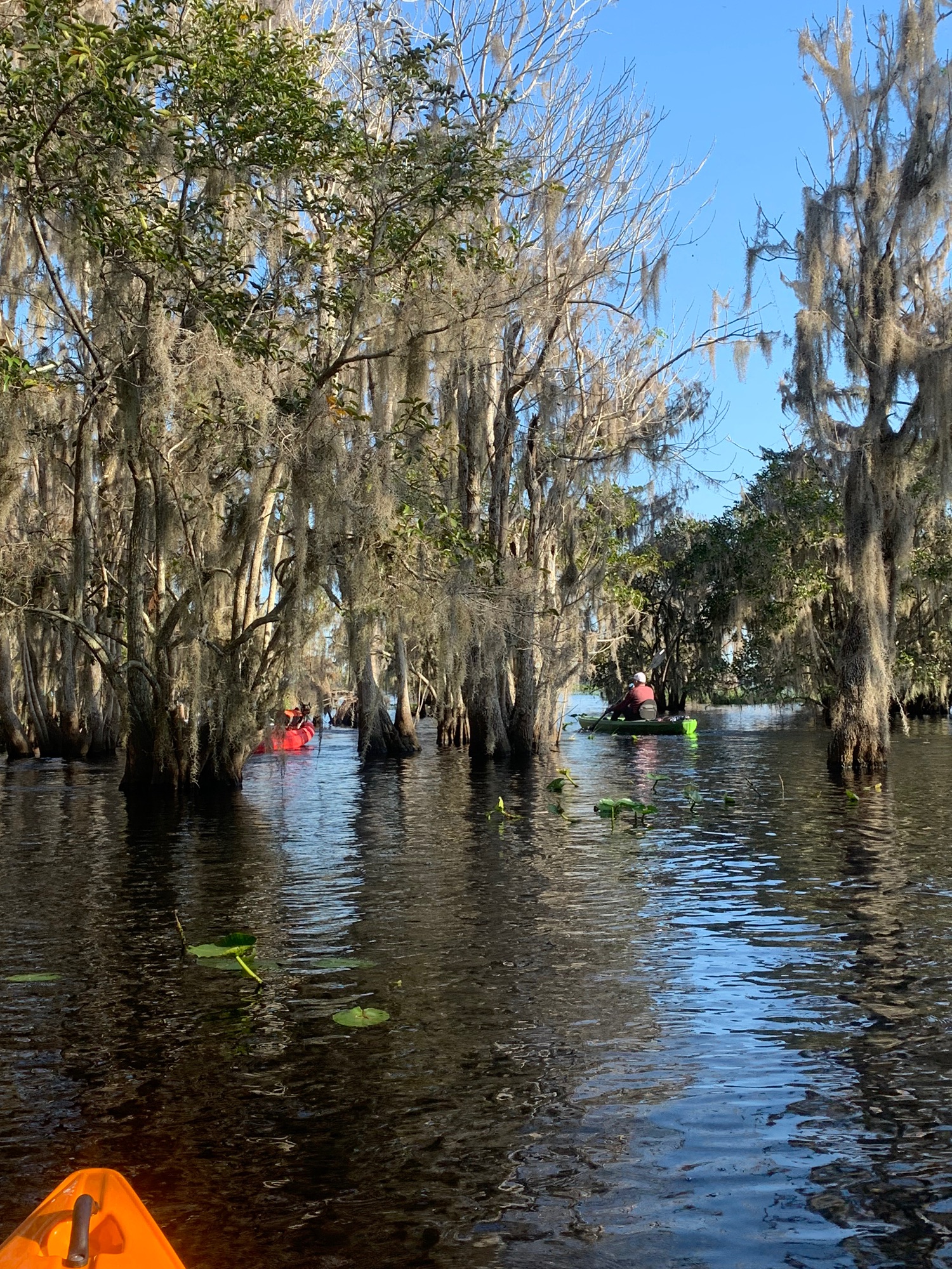 Blue Cypress Lake Paddle | Blue Cypress Lake